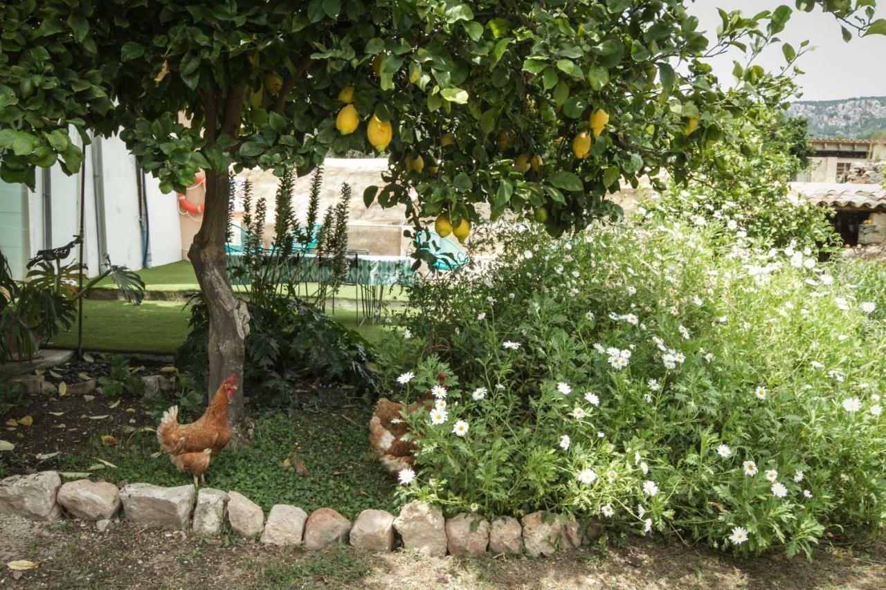 Sa Fita Backpackers - Albergue Juvenil Esporles Εξωτερικό φωτογραφία